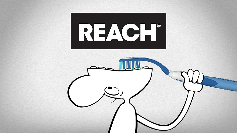reach toothbrush flip top head